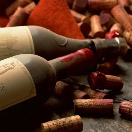 Vinos-que-viajan-en-el-tiempo 0es3.store