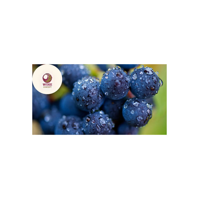 Cuando-el-clima-enseña-la-belleza-de-las-uvas-golpeadas 0es3.store