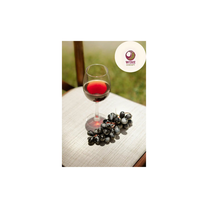 Cómo-la-uva-le-da-ese-color-rojo-al-vino-tinto 0es3.store