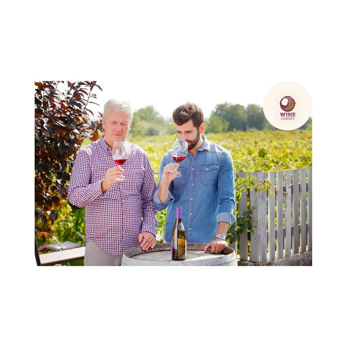 Bodegas-familiares-cuando-el-vino-es-herencia 0es3.store