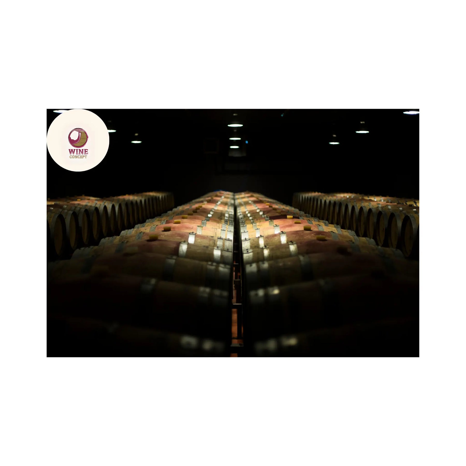 El-vino-como-archivo-del-clima 0es3.store