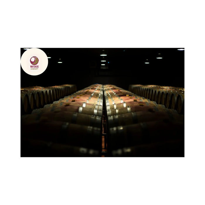 El-vino-como-archivo-del-clima 0es3.store