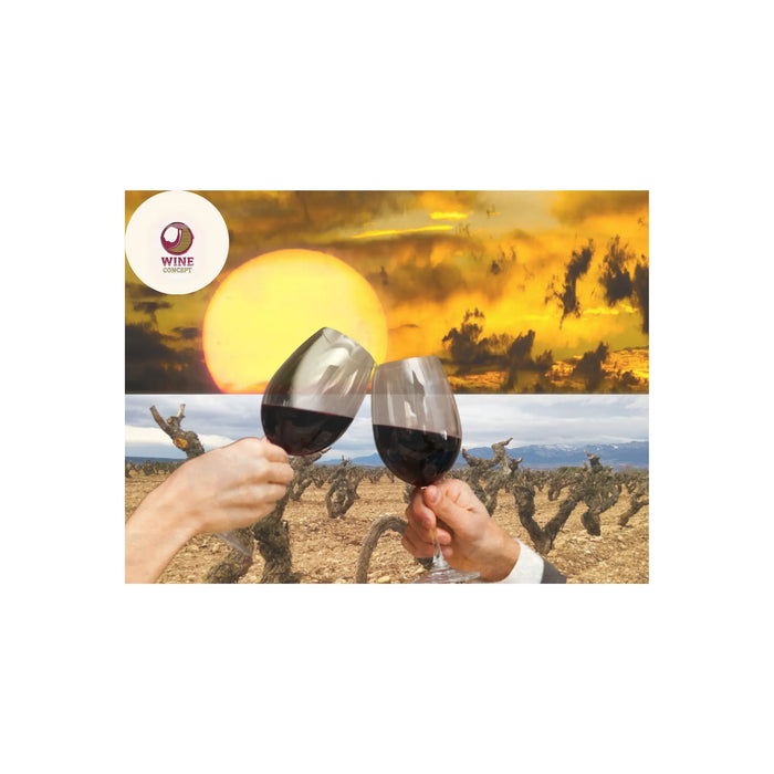 Por-qué-el-cambio-climático-afecta-a-los-viñedos 0es3.store