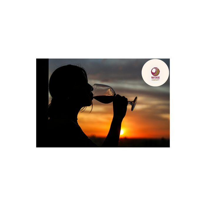 🍷 Beber sin buscar aprobación