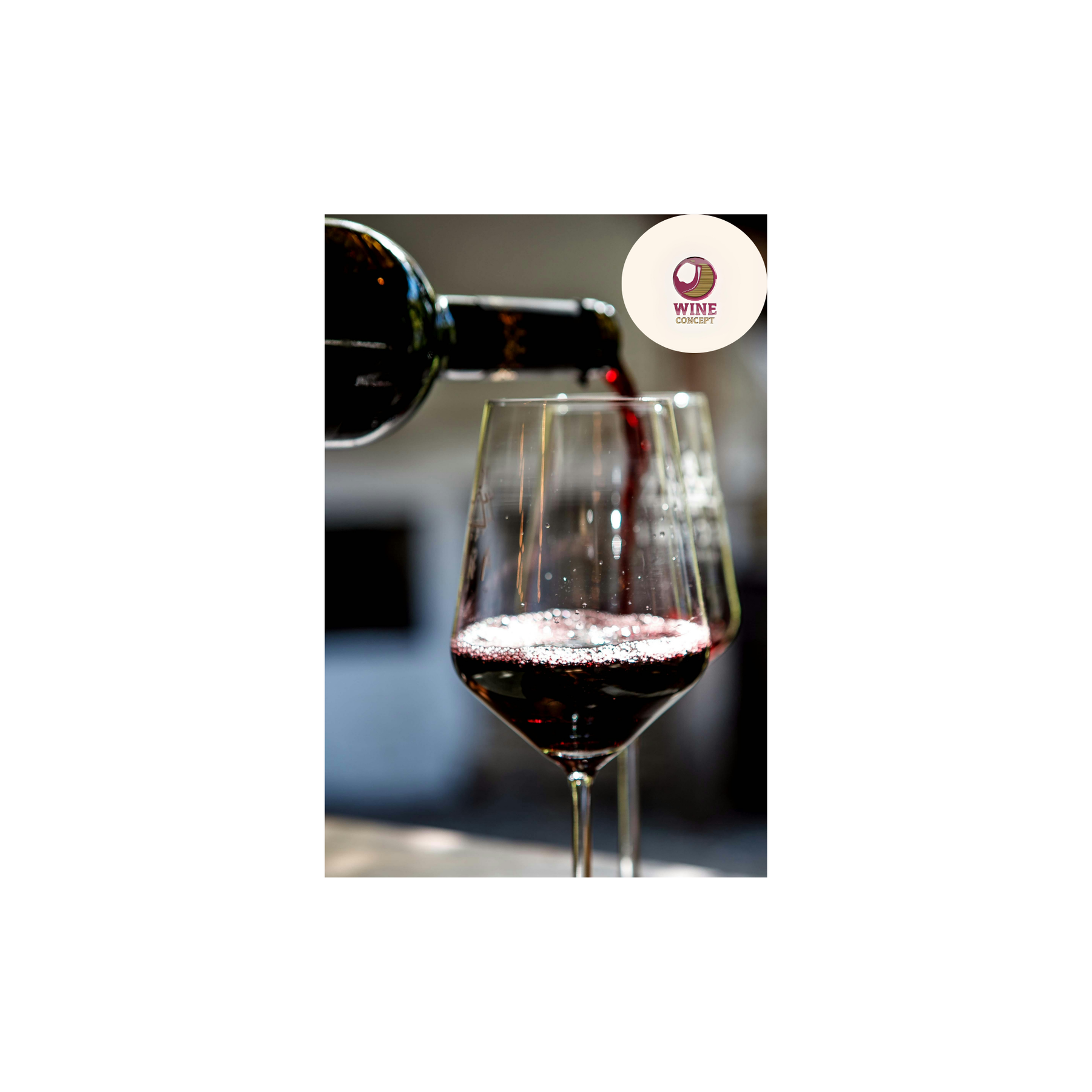 🌍🍷 Antiguo Mundo y Nuevo Mundo: qué significan realmente en el vino