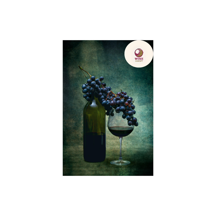 🍇 ¿Qué son los taninos y cómo identificarlos?