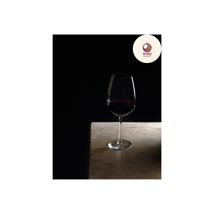 🍷 Tintos argentinos frescos: mitos y verdades