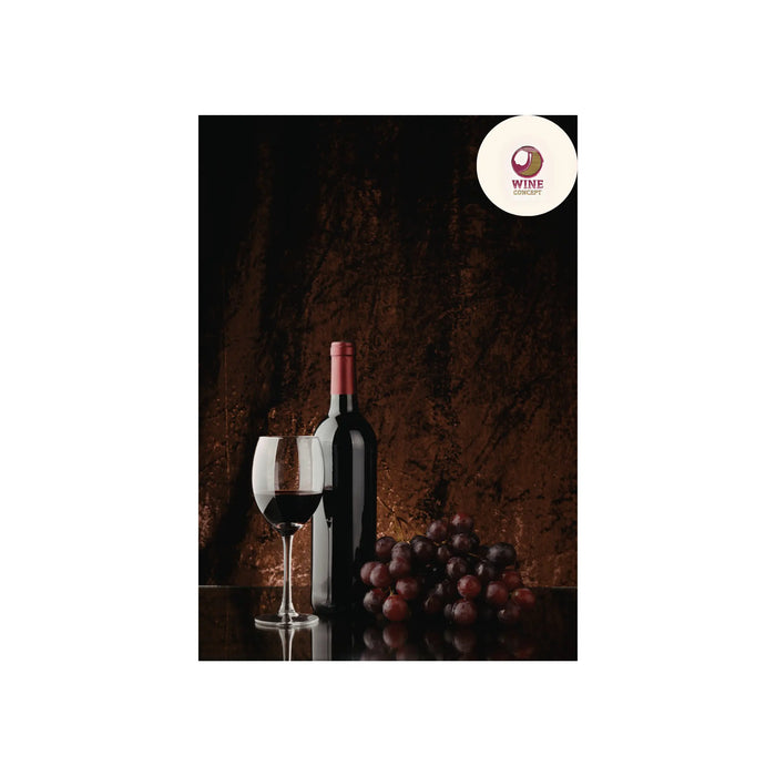 🍇 Cómo el vino argentino salvó uvas que estaban a punto de desaparecer 0es3.store