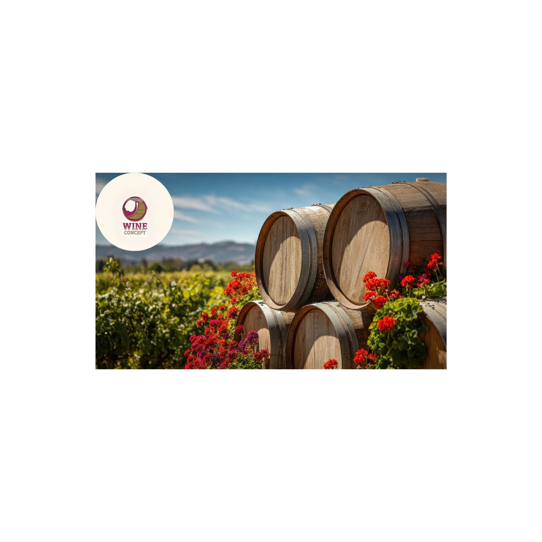 🍷 Vinos argentinos para primavera 0es3.store