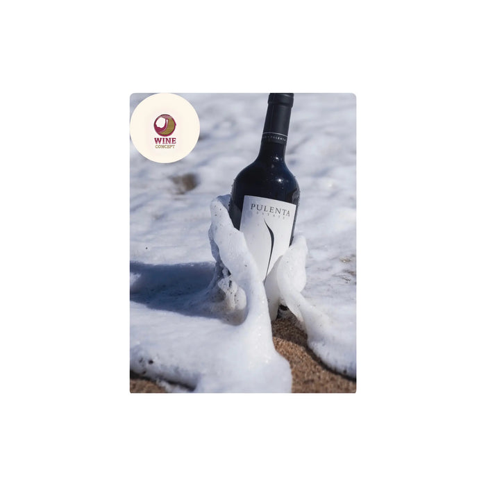 🍷 Pulenta Estate: tradición y modernidad en la copa 0es3.store