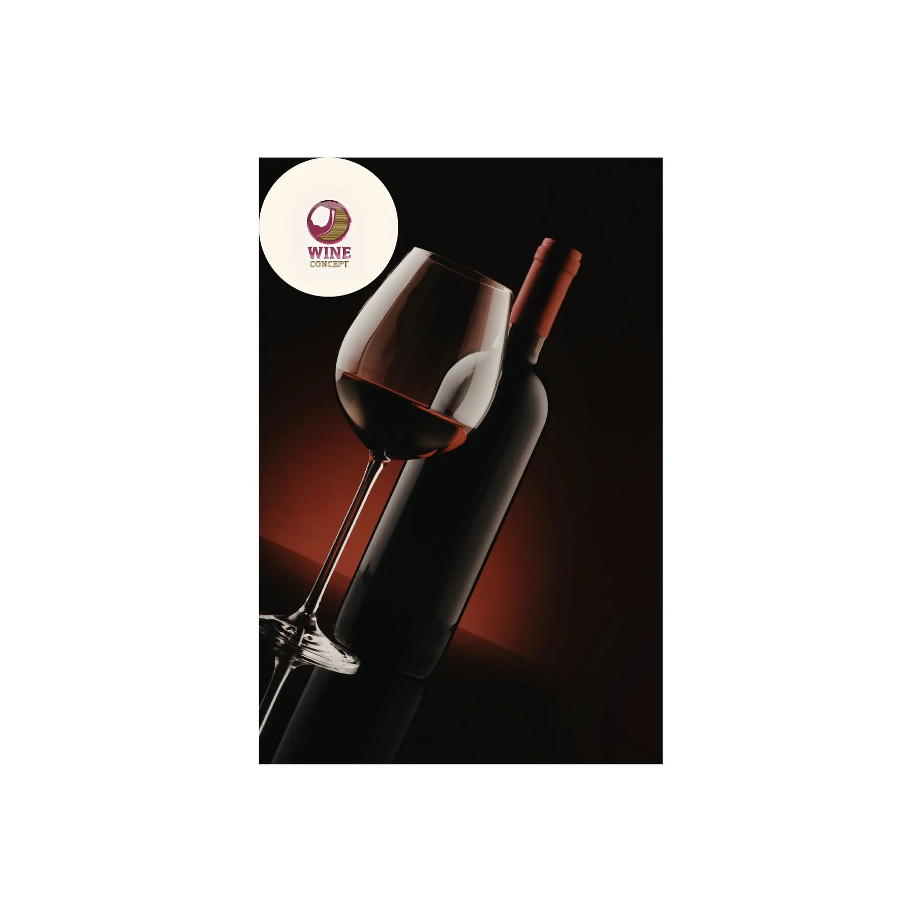 🍷 La nueva elegancia del vino argentino 0es3.store