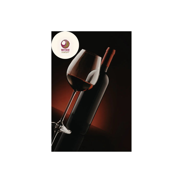 🍷 La nueva elegancia del vino argentino 0es3.store