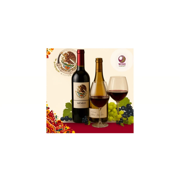 “El consumidor mexicano de vino en 2026: qué busca realmente” 0es3.store