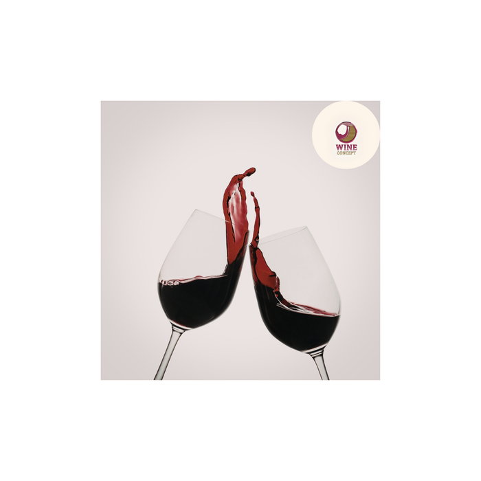 🍷 Qué vino argentino recomendaría Wine Concept según la ocasión