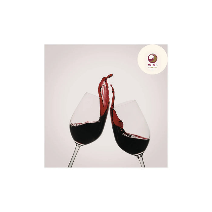 🍷 Qué vino argentino recomendaría Wine Concept según la ocasión 0es3.store