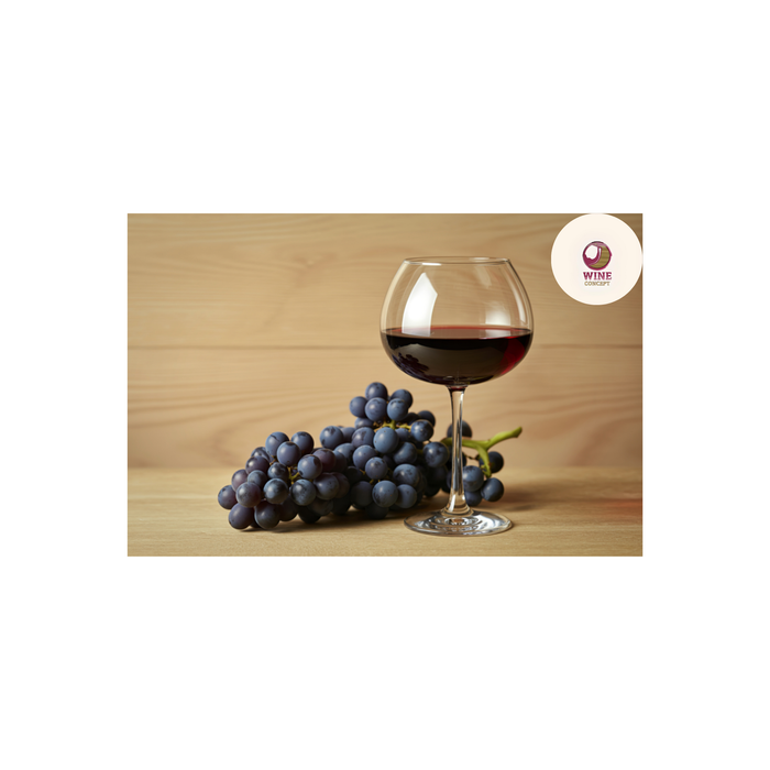 🍷 Cómo elegir vino argentino en México según tu perfil