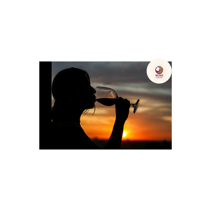 🍷 Cómo Wine Concept selecciona vinos argentinos para México 0es3.store