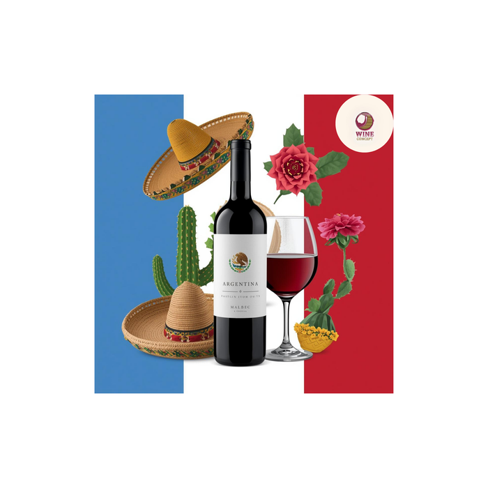 🍷 Qué buscamos en una bodega antes de importarla a México