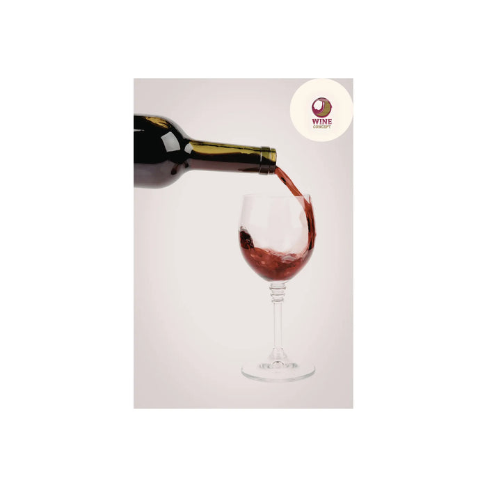 🍷 Cómo reconocer un vino bien hecho 0es3.store