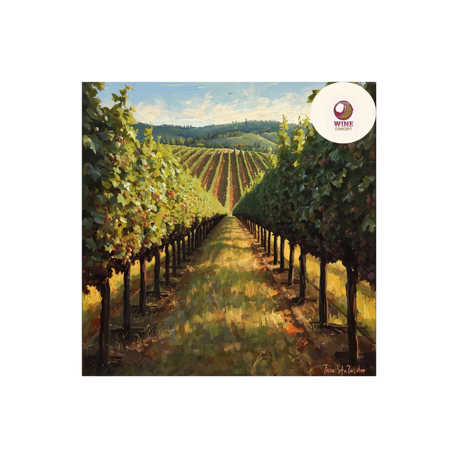 🍷 Cómo descubrir vinos que valen la pena 0es3.store