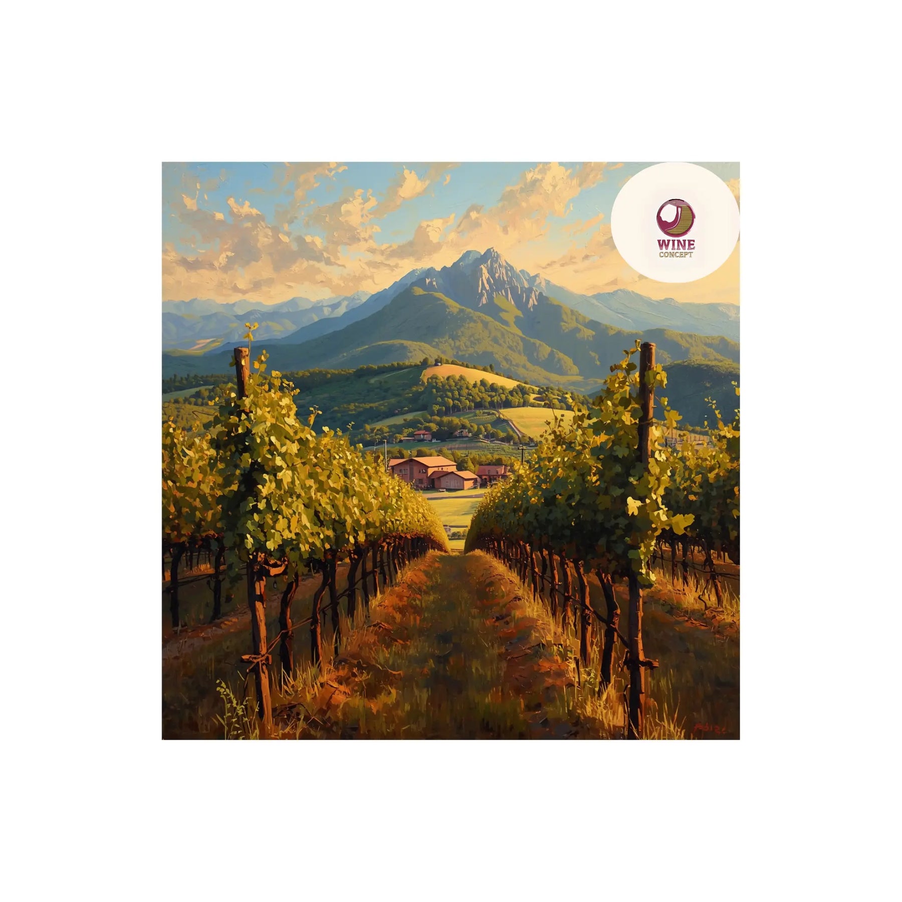 🍷 “Este Malbec nace en uno de los viñedos más altos del mundo. Nadie creía que iba a funcionar. 0es3.store