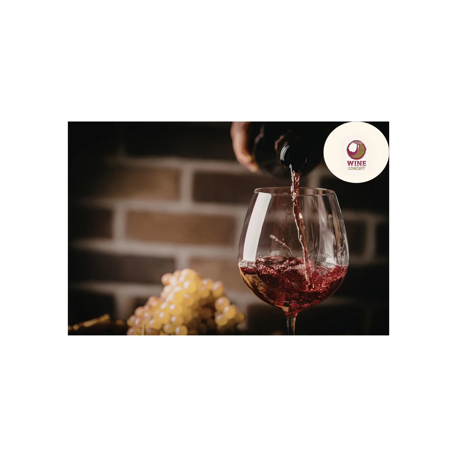 🍷 “Este no es un vino que encuentras… es un vino que te encuentra.” 0es3.store