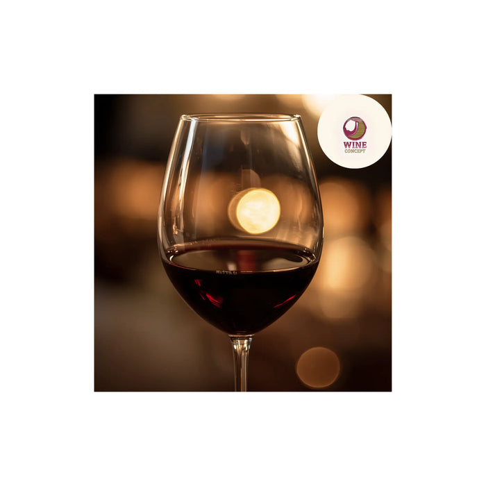🍷 Los mejores vinos argentinos en México: guía real para elegir bien 0es3.store