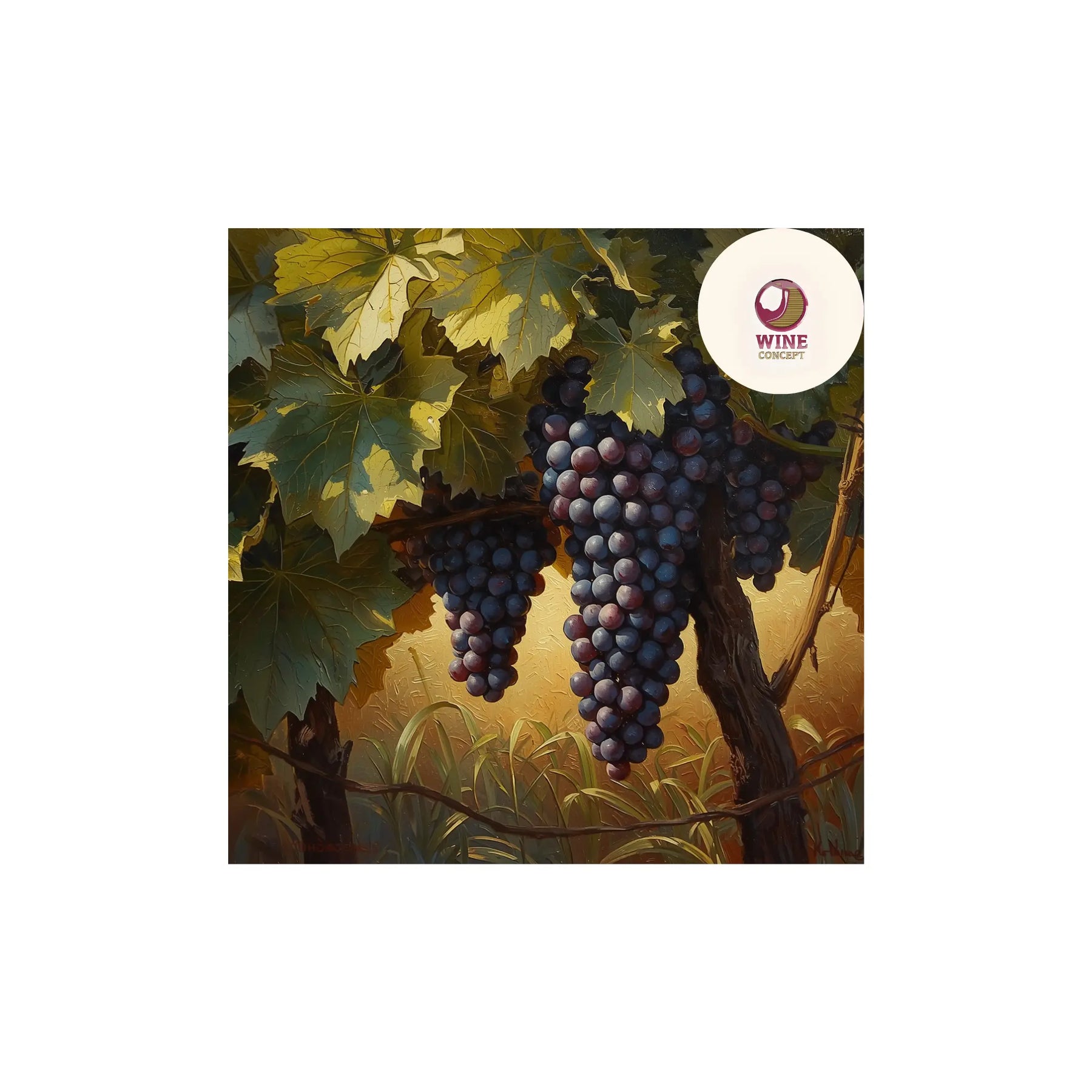 🍷 Las uvas más interesantes rara vez son las más obvias 0es3.store