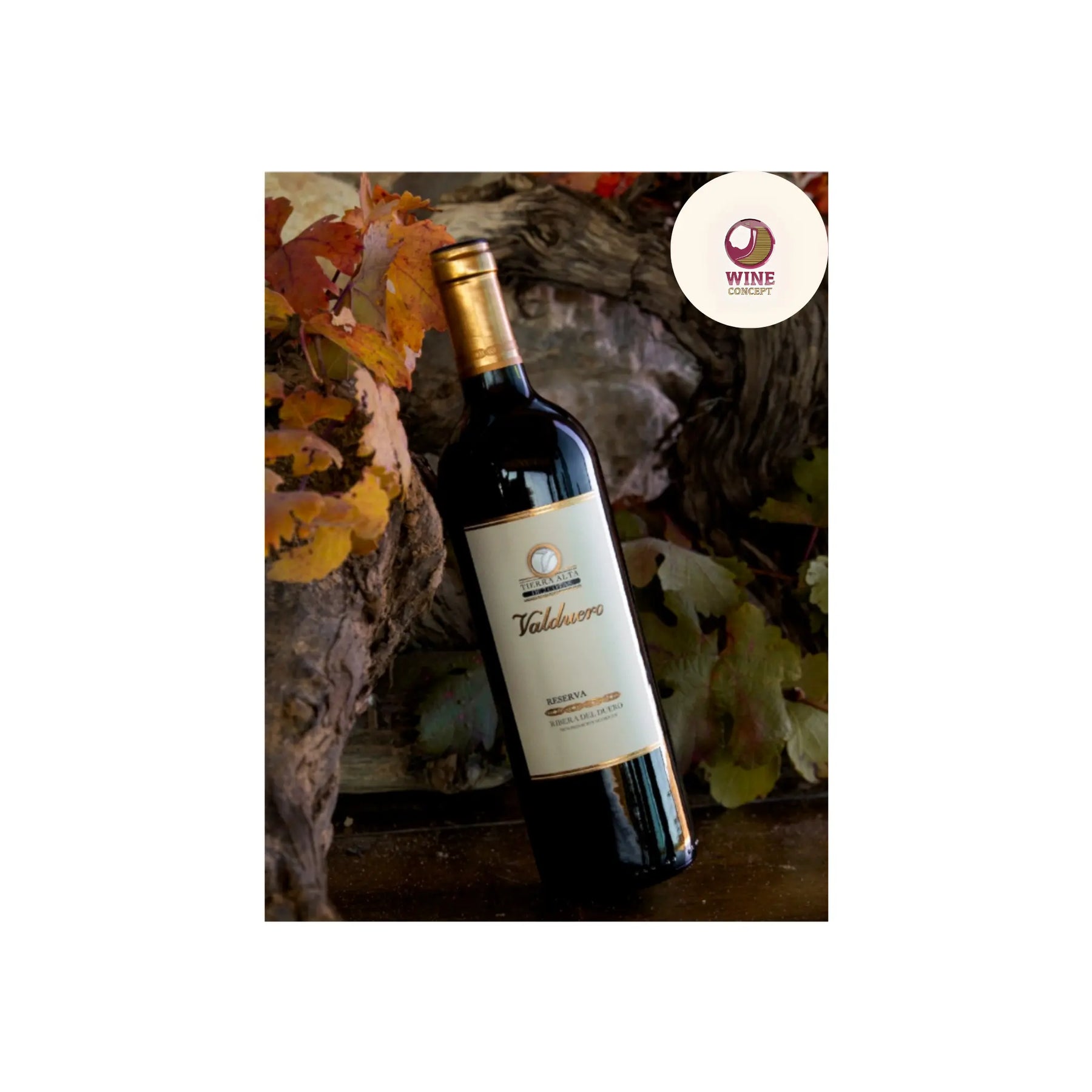 El vino que me enseñó a disfrutar sin prisa 0es3.store