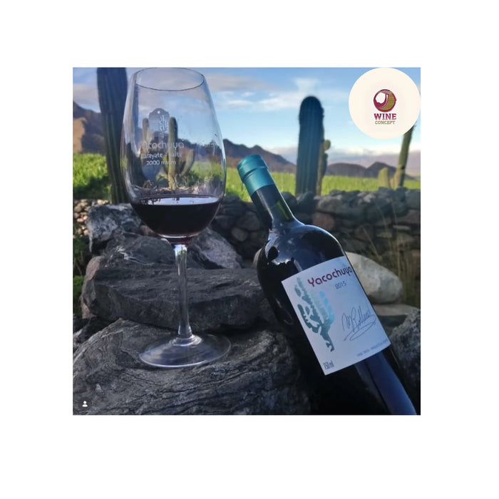 Vinos de altura: lo que aprendí cuando descubrí Yacochuya 0es3.store