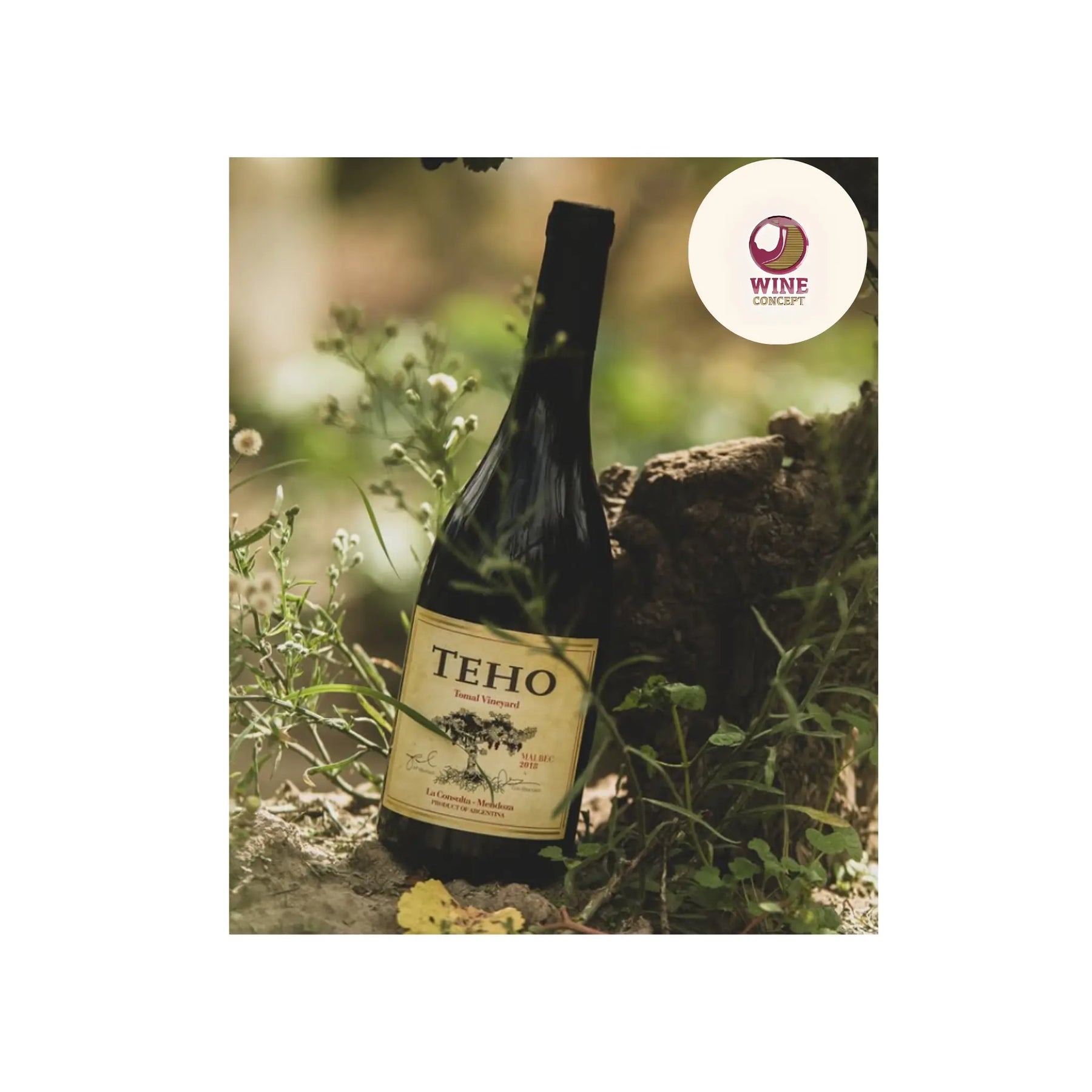 Teho Malbec: el vino que me hizo entender que la tierra también tiene sangre 0es3.store