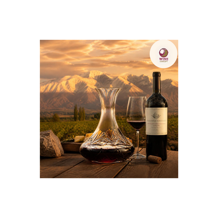 Vino premium argentino: cuando la excelencia nace entre los Andes