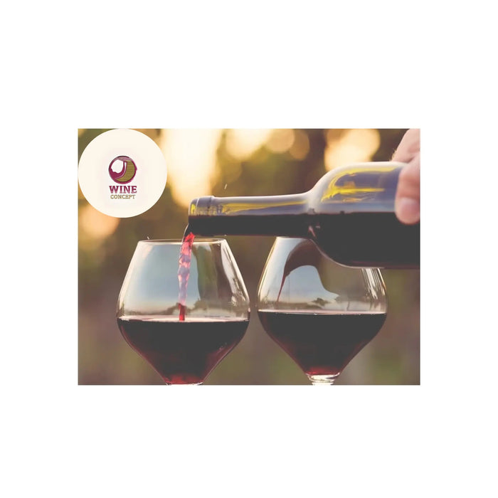 Cómo-ha-evolucionado-el-estilo-del-Malbec-argentino-lasen-últimas-décadas 0es3.store