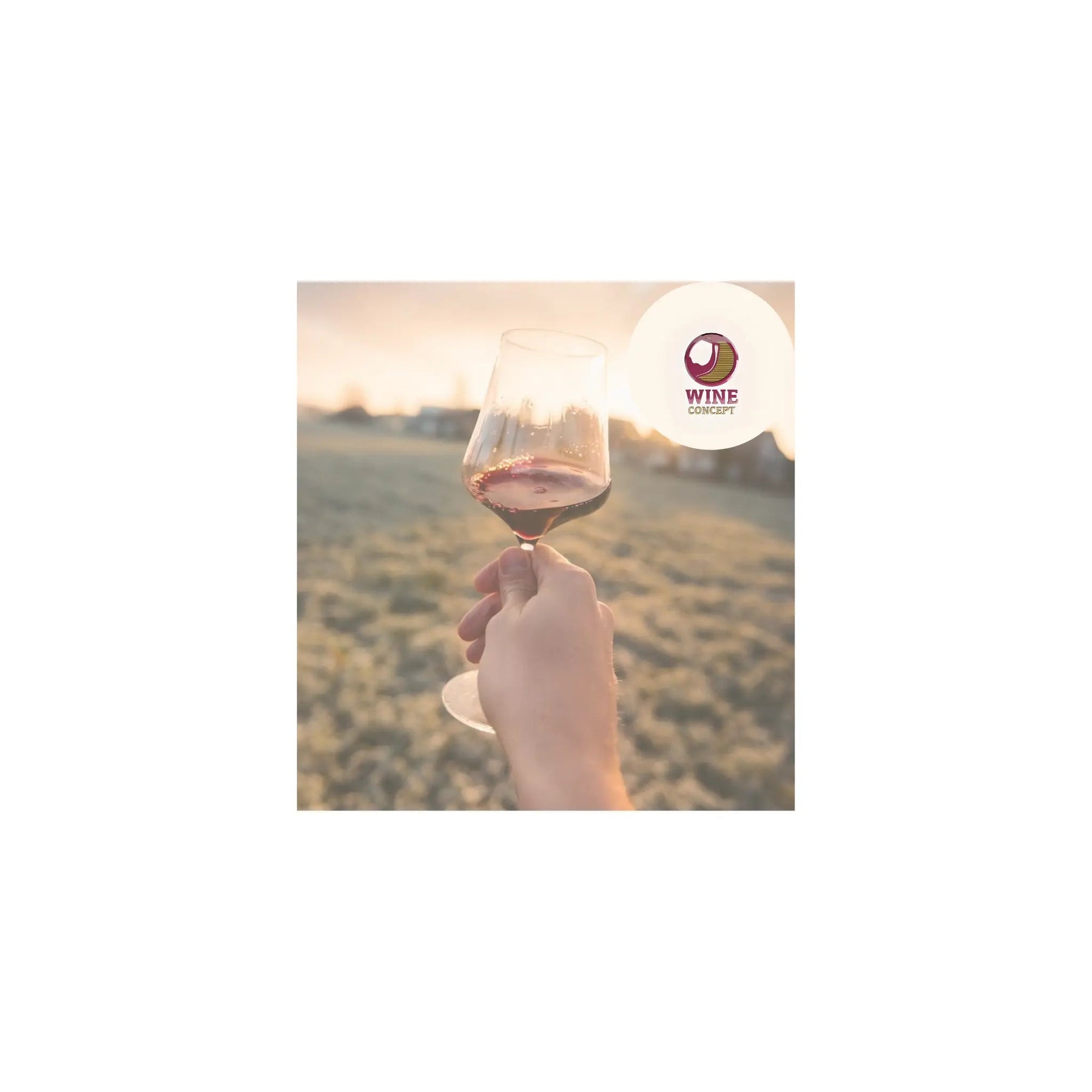 Vinos-Orgánicos-Biodinámicos-y-Naturales-Cuál-es-la-Diferencia 0es3.store