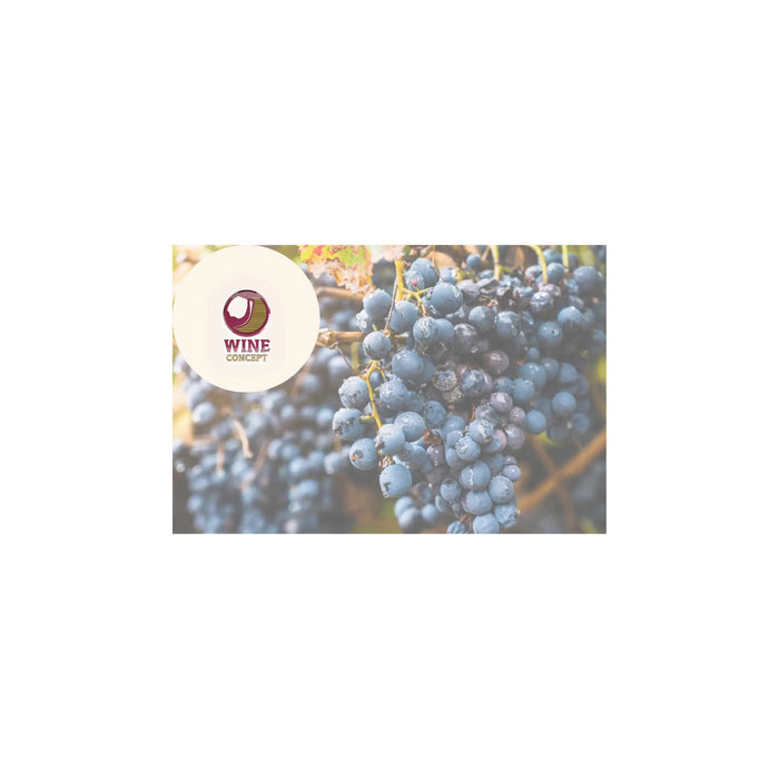 Los-Malbec-Más-Exóticos-De-Climas-Fríos-y-Zonas-No-Tradicionales 0es3.store