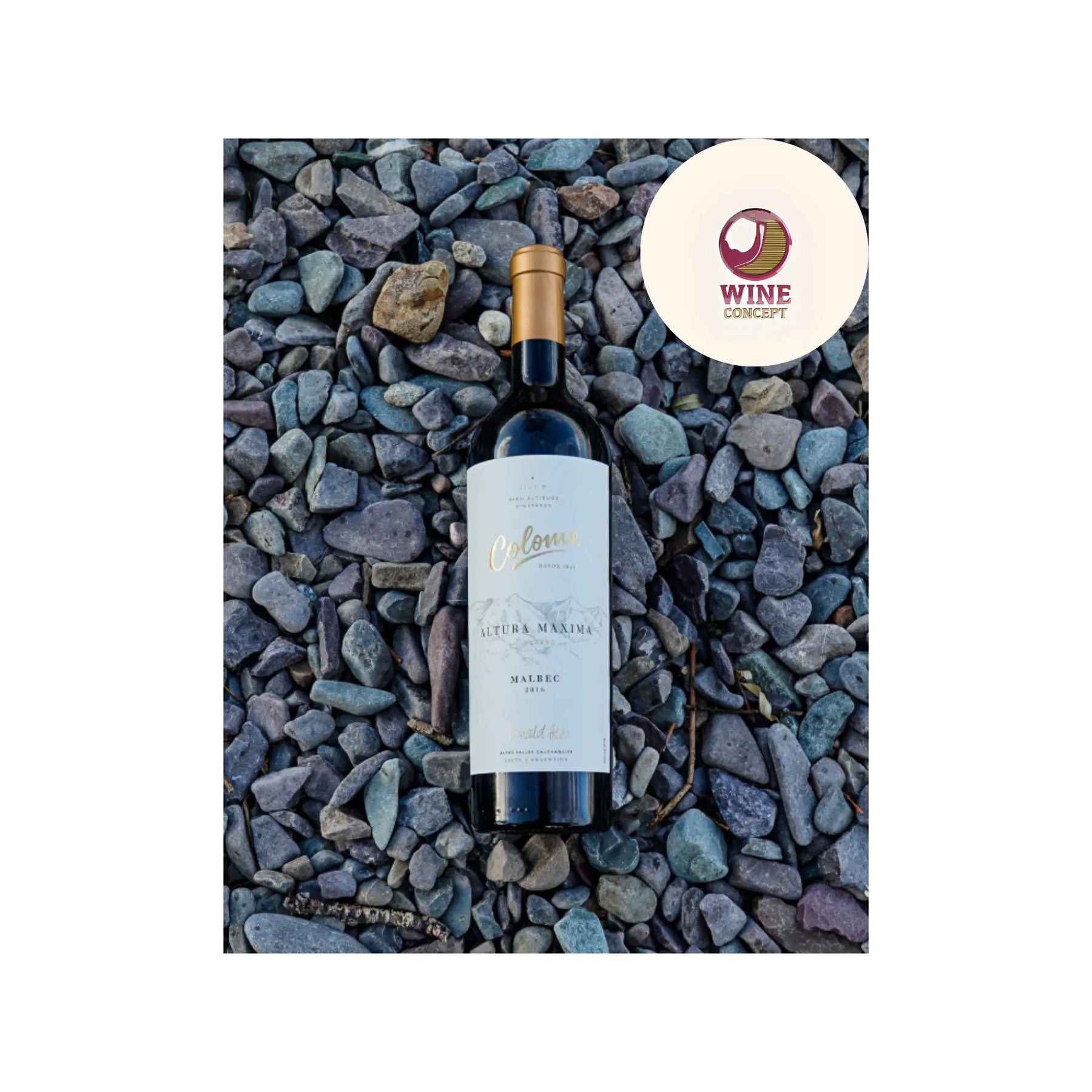 Colomé-Altura-Máxima-Malbec-el-Malbec-más-alto-del-mundo 0es3.store