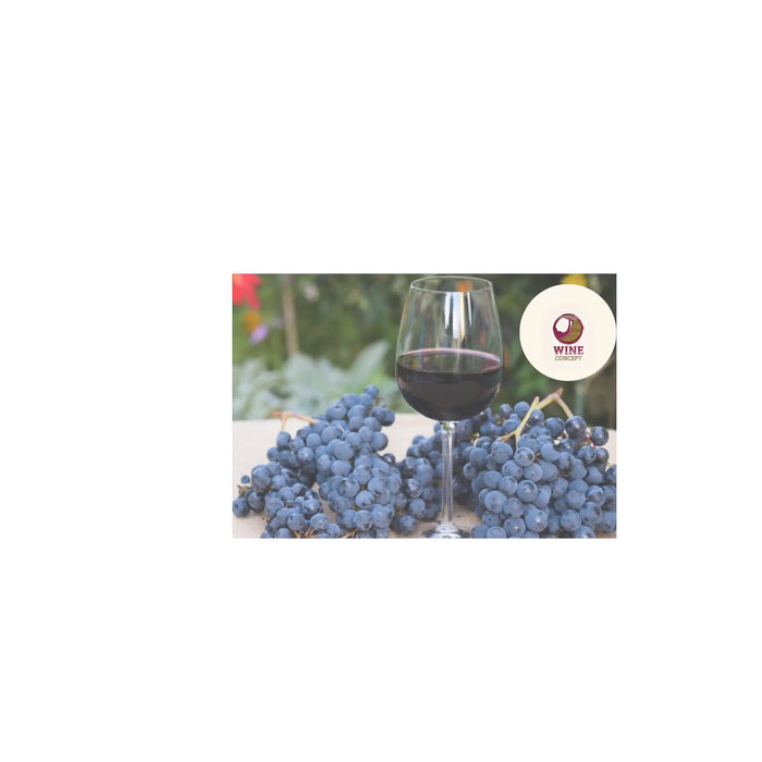 Malbec-Joven-vs.-Malbec-Reserva-Cómo-Cambia-con-la-Crianza 0es3.store