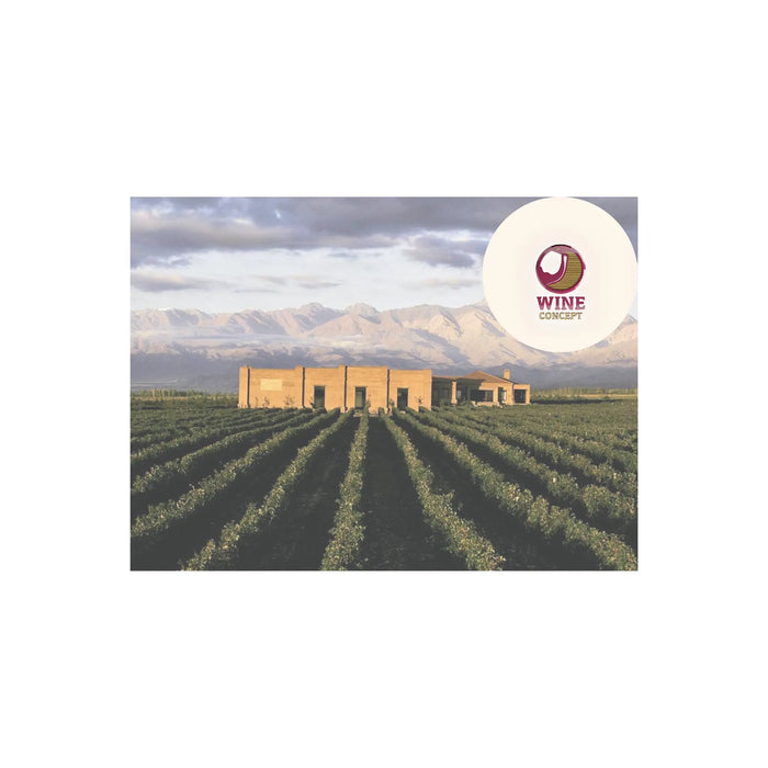 Wine-Concept-recomienda-5-vinos-para-conocer-Argentina-en-5-copas 0es3.store