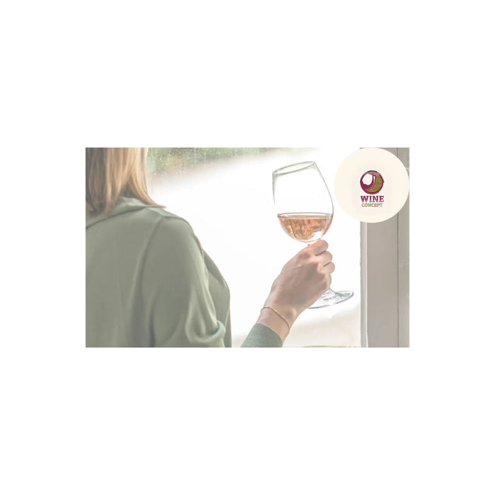 Las-Nuevas-Generaciones-y-el-Vino-Cómo-Está-Cambiando-el-Consumo 0es3.store