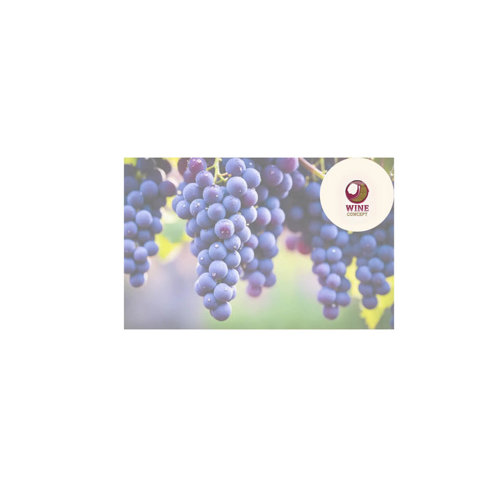 Malbec-de-Agrelo-Potencia-Dulzura-y-Estructura-Clásica 0es3.store