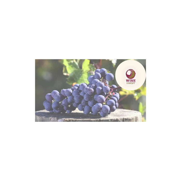 Cabernet-Franc-argentino-del-tapado-al-favorito-gourmet 0es3.store