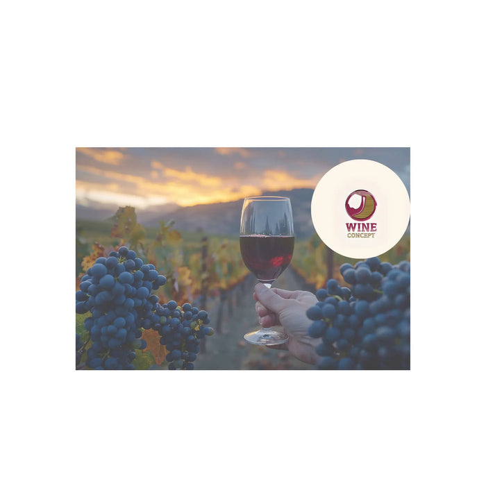 Vinos-de-Clima-Frío-vs.-Clima-Cálido-Cómo-Cambian-el-Cuerpo-y-la-Frescura 0es3.store