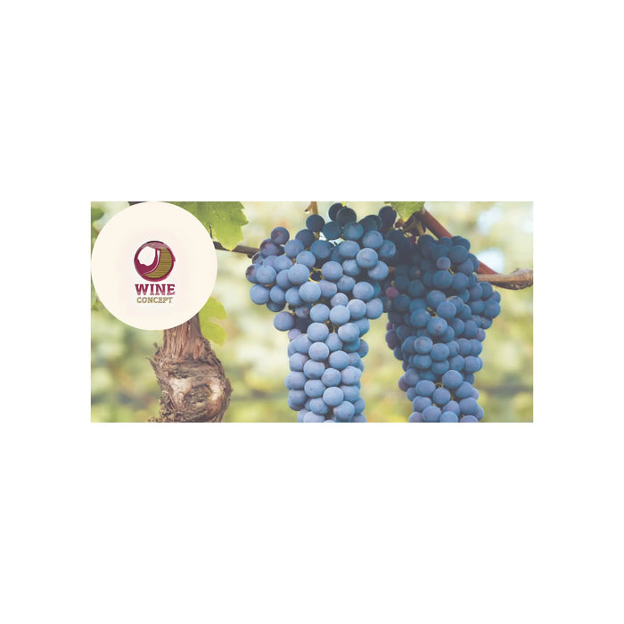 Nebbiolo-Carácter-Elegancia-y-Exclusividad-en-Wine-Concept 0es3.store