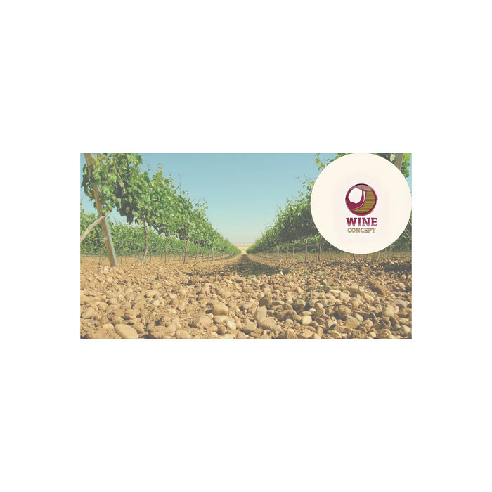 Vinos-que-nacen-en-el-suelo-qué-tipo-de-piedra-identifica-a-cada-bodega 0es3.store