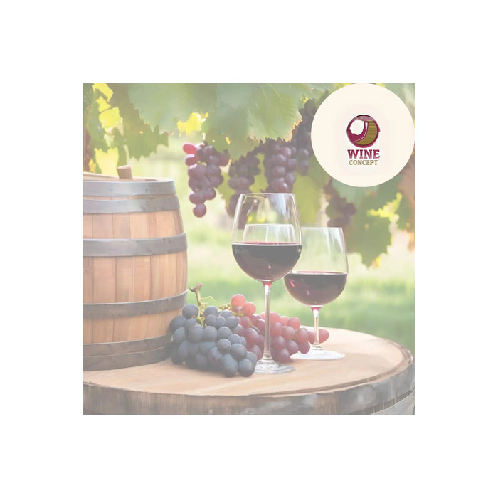 Malbec-vs.-Syrah-Cuál-es-Más-Potente-y-Estructurado 0es3.store