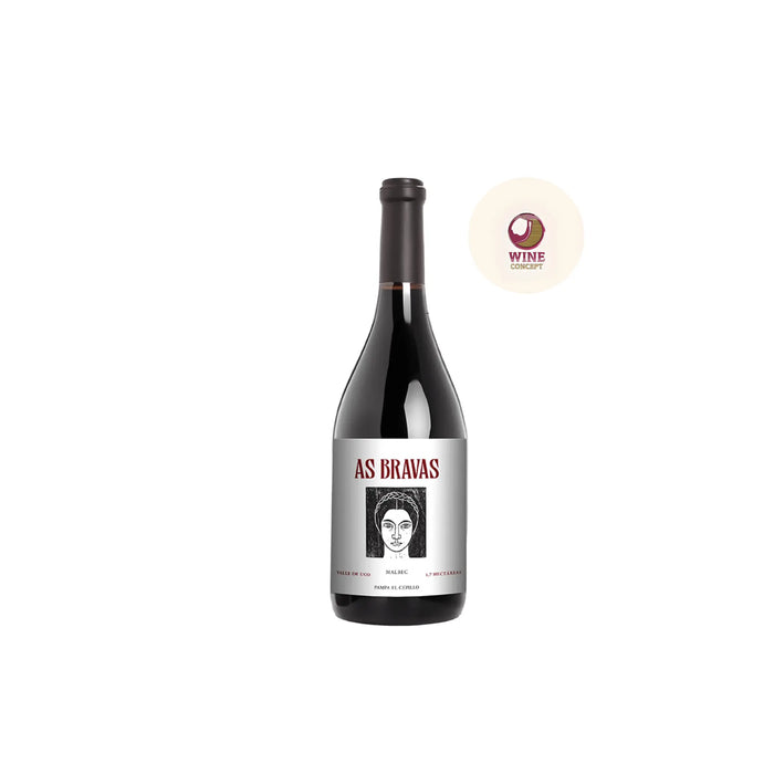 As-Bravas-Un-Homenaje-a-la-Valentía-Femenina 0es3.store