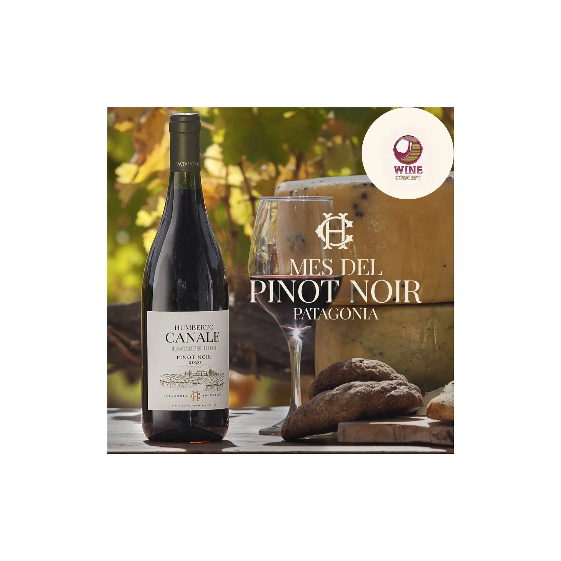 Humberto-Canale-Estate-Pinot-Noir-frescura-patagónica-en-cada-sorbo 0es3.store