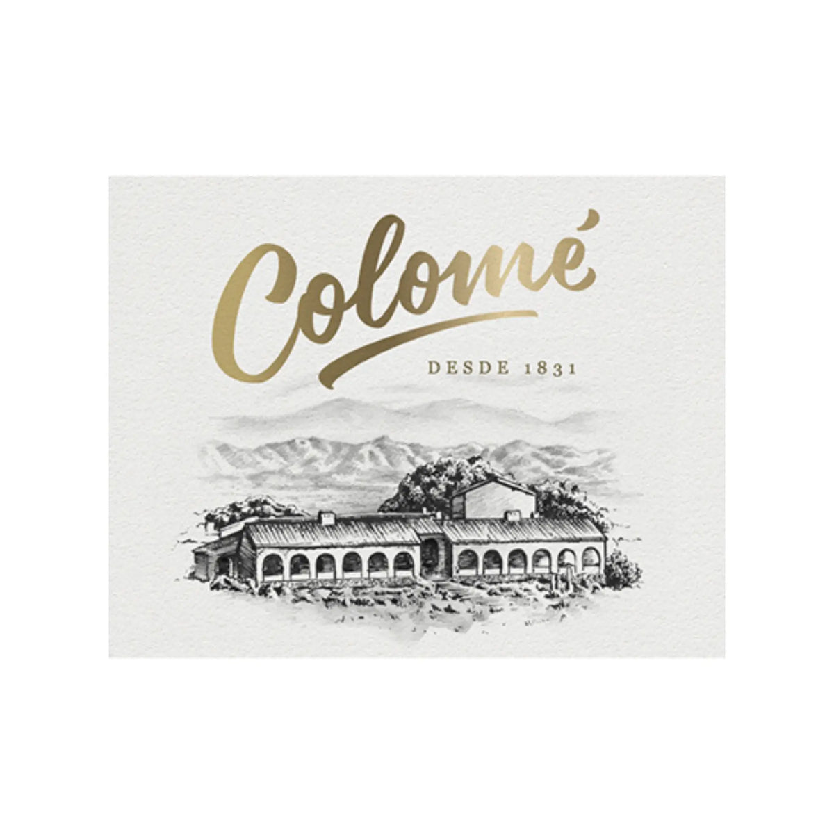Bodega Colomé- Wine Concept — WineConcept