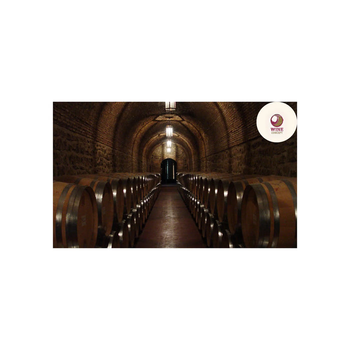 Tras-bambalinas-el-rol-del-barril-en-un-vino-de-alta-gama 0es3.store