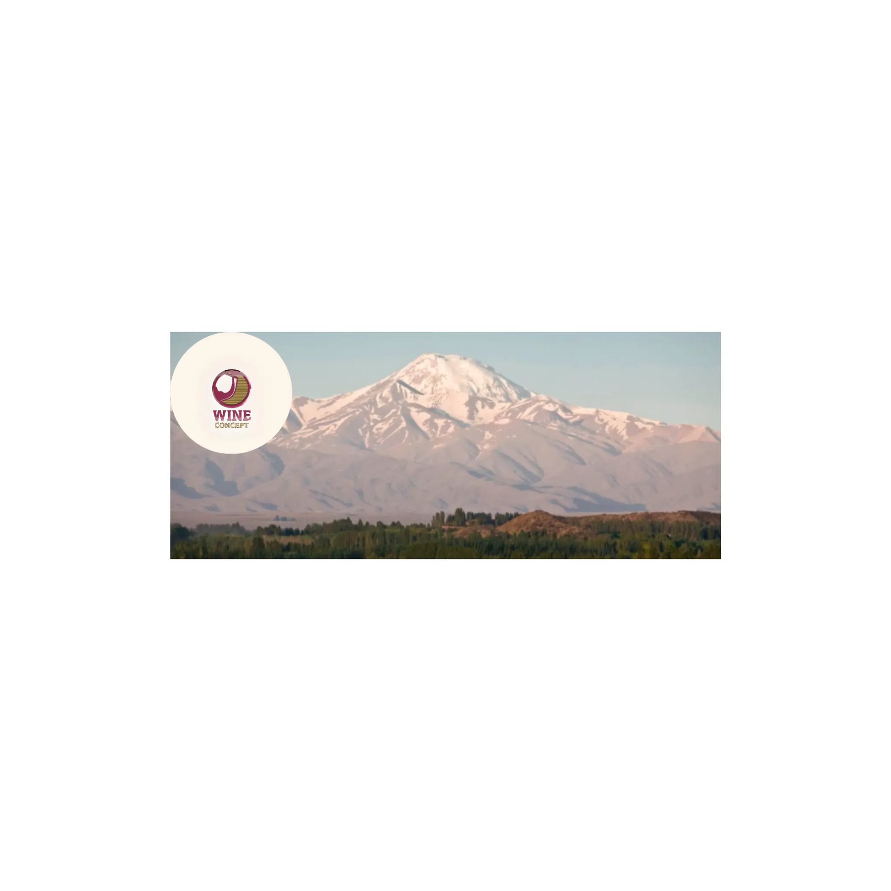 Malbec-por-región-Salta-Luján-de-Cuyo-y-Valle-de-Uco 0es3.store